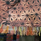 Kimono - 5D Journey